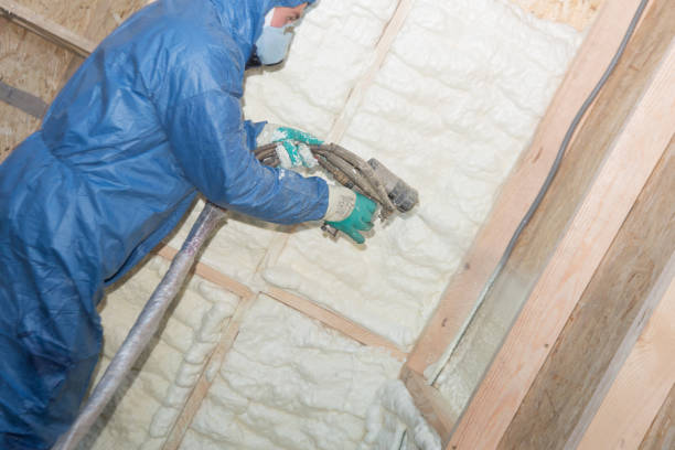 Best Attic Insulation Installation  in East Gaffney, SC